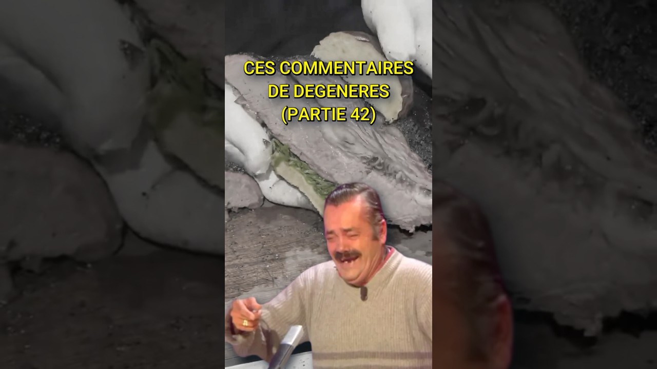 CES COMMENTAIRES DE FOU (WTF)