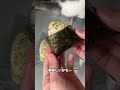 最高に美味い悪魔のおにぎり作った結果ww #shorts
