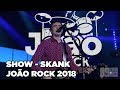 Skank - João Rock 2018 (Show Completo)