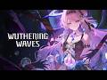 Wuthering Waves Resonator Combat Showcase Denia 