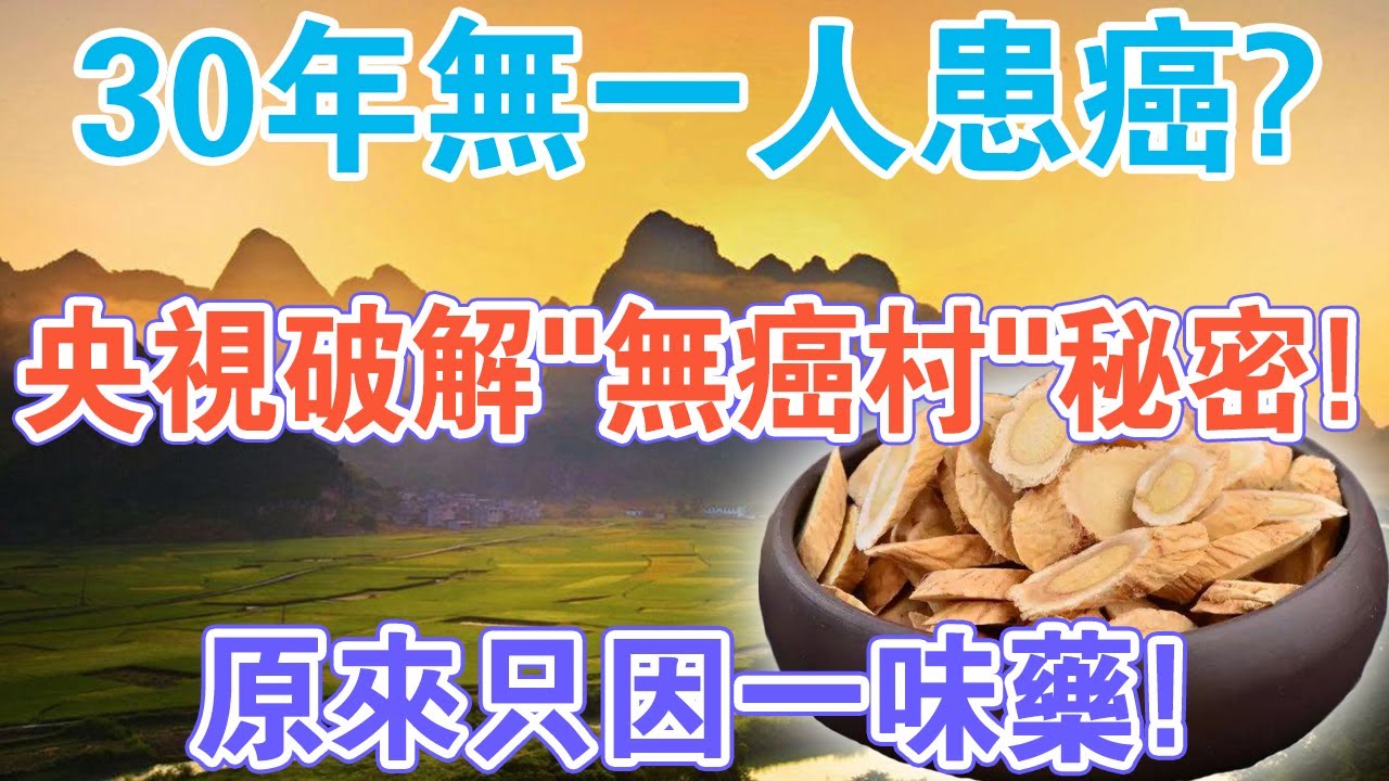 30年無一人患癌 央視破解 中國無癌村 秘密 原來只因一味藥 Youtube 30年無一人患癌 央視破解 中國無癌村 秘密 原來只因一味藥 Youtube
