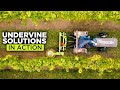 Grow food not weeds  undervine solutions from tilmor