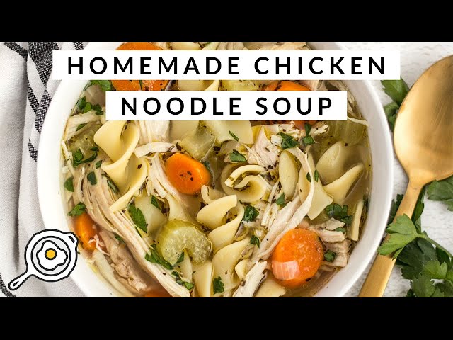 Slow Cooker Chicken Noodle Soup - Budget Bytes