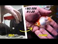 MY GOLDFISH FROM JAR | Raising Single Goldfish Fry/Redcap Oranda