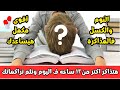 النوووم الكتيرأثناء المذاكرة أقوى مكمل هيخلصك م النوم والكسل ويحسن الذاكرةوالتركيز ثانوية عامة 2025 
