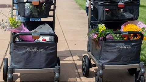 Wadabuggy Pet Premium Pet Cart Smooth Ride Luxury Dog and Cat Stroller Review, Great for Farmer Mark