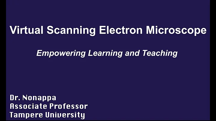 How does a Scanning Electron Microscope works?