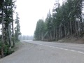 Snowing in Yellowstone