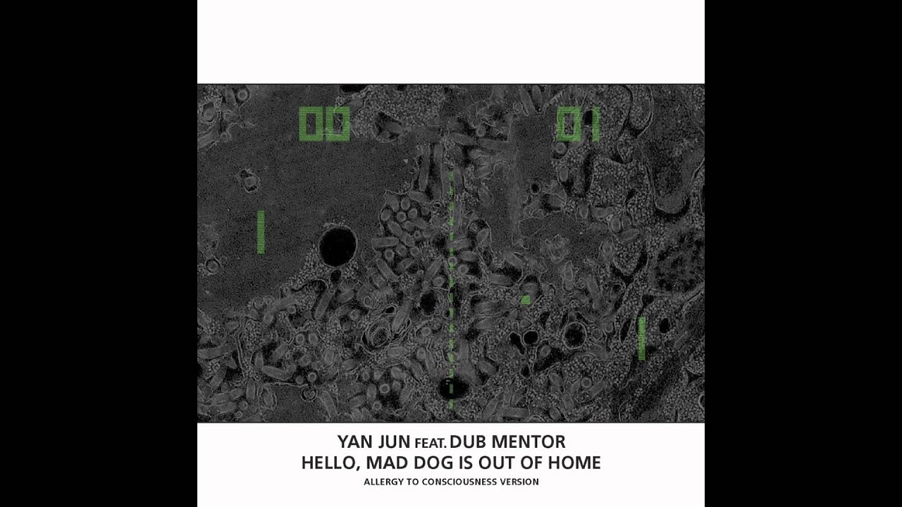Yan Jun feat. Dub Mentor - Hello, Mad Dog Is Out Of Home