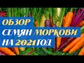 Обзор семян моркови на 2021 год