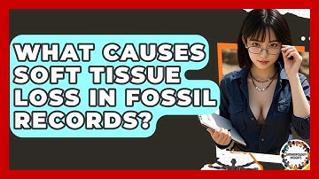 What Causes Soft Tissue Loss In Fossil Records? - Anthropology Insights
