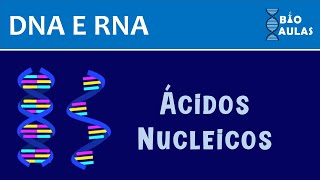 Estrutura dos Ácidos Nucleicos: DNA e RNA - Bioquímica (Bio Aulas)