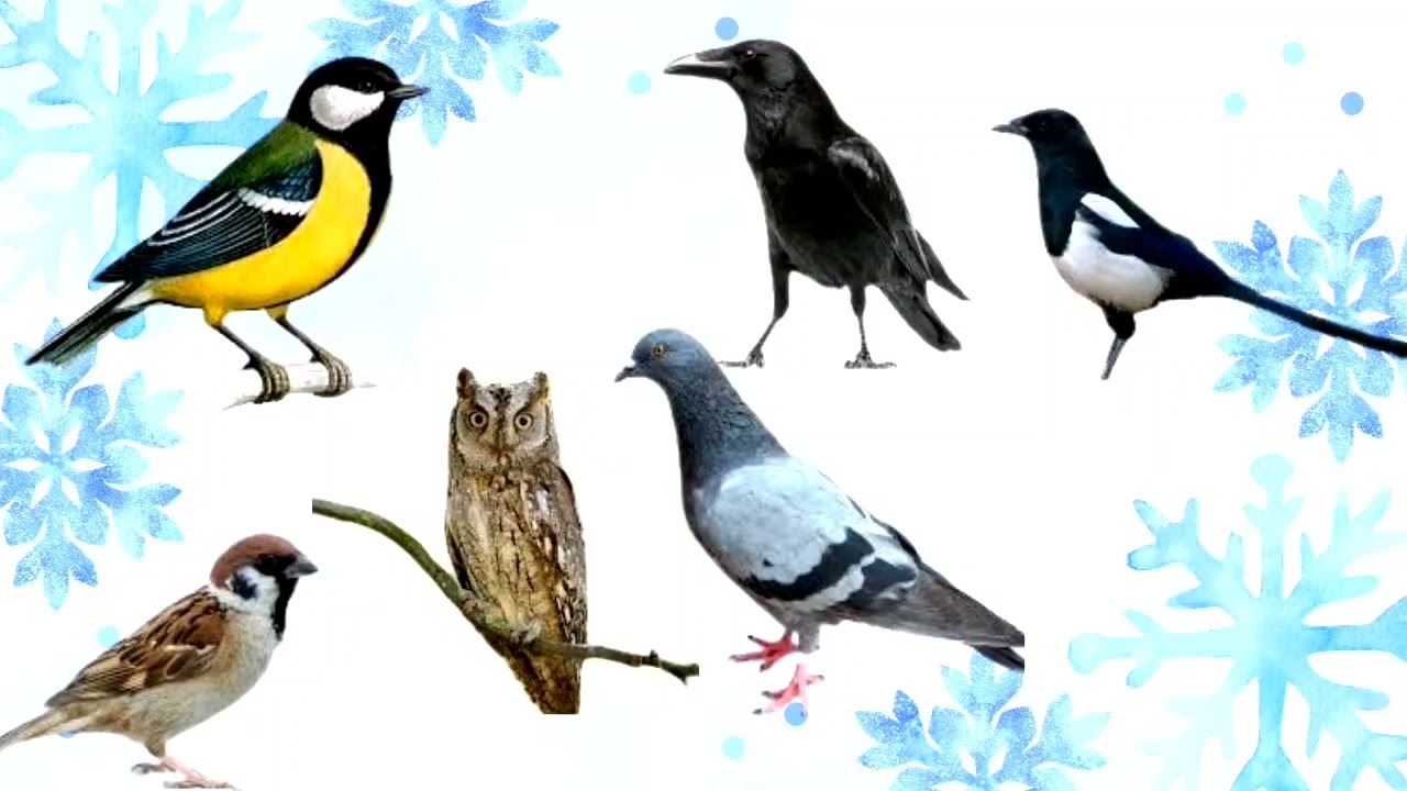 Дидактична гра 