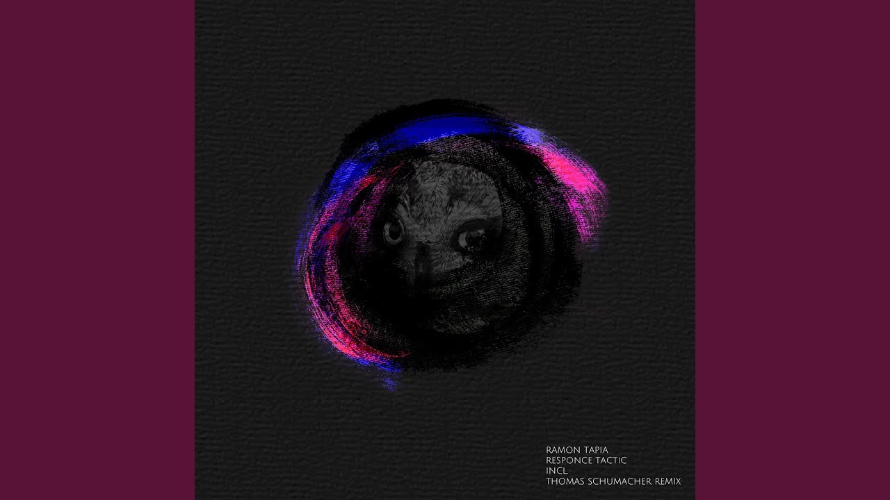 Responce Tactic (Thomas Schumacher Remix)
