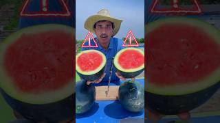 Don’t Eat Watermelon!#shorts