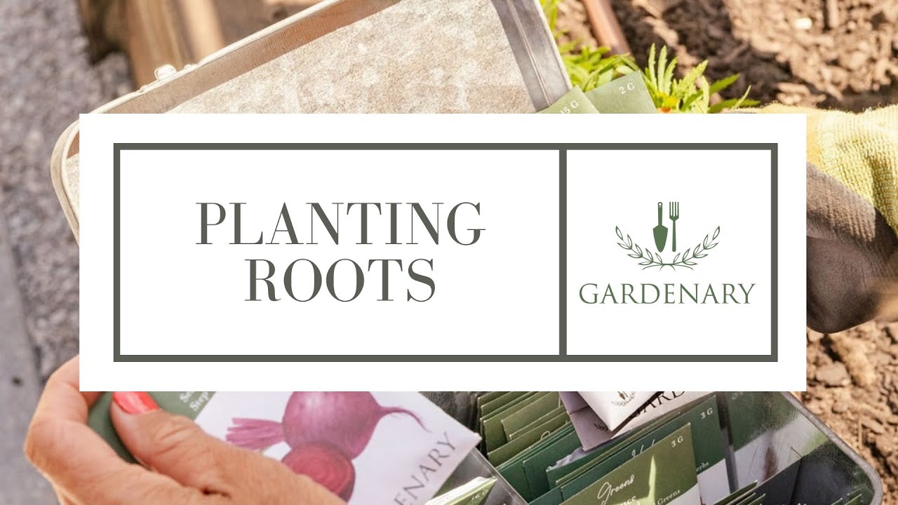 Planting Root Crops