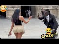 TRY NOT TO LAUGH 😆😆😆 Best Funny videos Compilation 😂 Memes Part 9