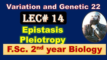 Biology chapter 22 Lecture No.14 Epistasis and Pleiotropy  F.Sc. (2nd Year)