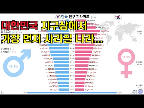   피라미드로 보는 한국 인구구조 변화 및 예측 1950 2100 2022 데이터