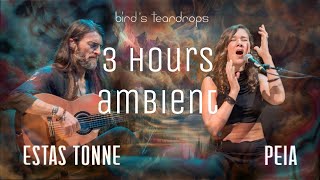 Birds Teardrops - 3 Hours Ambient - Estas Tonne Feat Peia Luzzi - Ethereal Cinematic Slowed Down