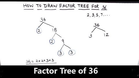 How to Draw Factor Tree of 36 / Factor Tree Method  of Prime  Factorization / Factors  of 36