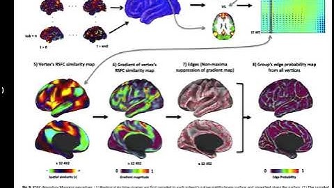OHBM 2018 | Educational Course | Brain Parcellations and Functional Territories | Part 4