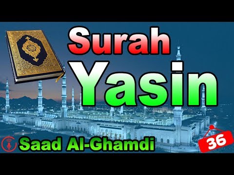 surah-yasin-|-most-beautiful-heart-touching-recitation-by-saad-al-ghamdi