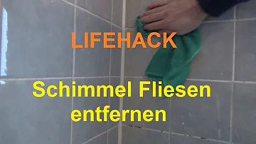 Warum schimmeln Fugen in der Dusche?