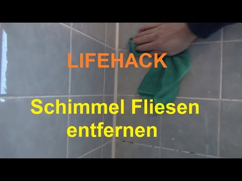 Badezimmer Fliesen Schimmel beseitigen Bad Schimmel Fliesenfugen entfernen sauben machen reinigen