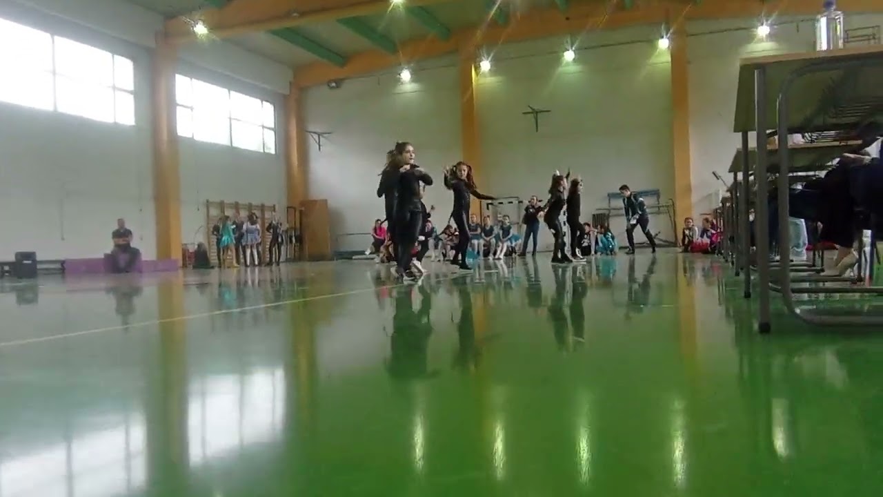 Competition in Acrobatic rnr | Rock Cats