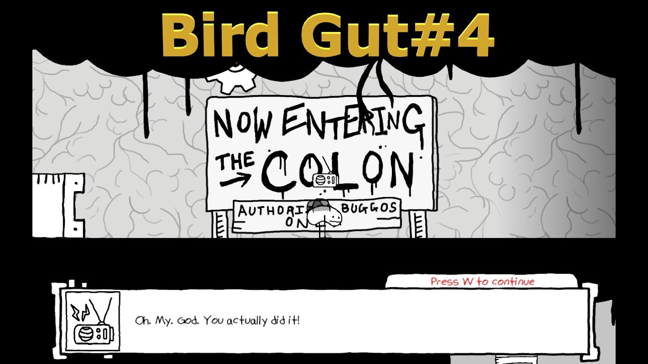 Bird Gut#4 - YouTube