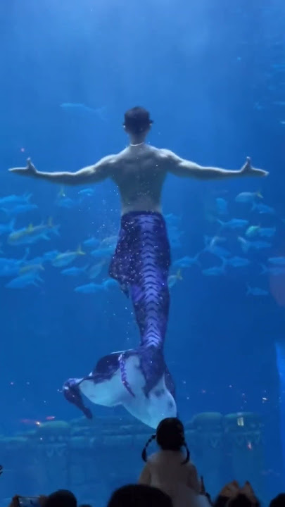Wow the 🧜‍♂️ is so large and gorgeous #😍😍😍 #fypシ゚viral #handsome #boyfriend #merman #mermaid