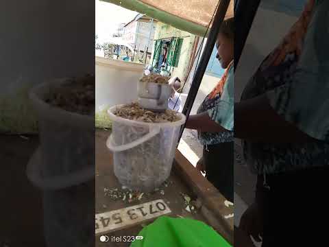 A Walk Around Machakos Academy Road MercyNguku The World Ourafricanvillagehomekatutu