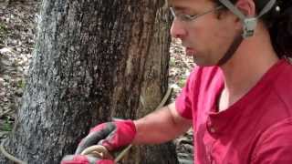 Two ways to rig a pit using the figure eight