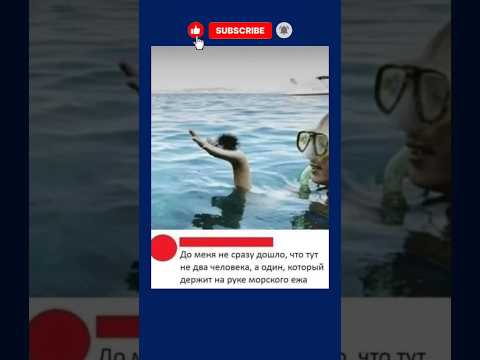 #шутка #шуточное #смех #мем #юмор #смехпродлеваетжизнь #мемы #прикол #приколы #смешно #shorts