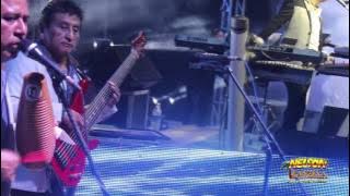 Mi Matamoros querido - El Cable - A ritmo de mi violin -- Nelson Kanzela EN VIVO