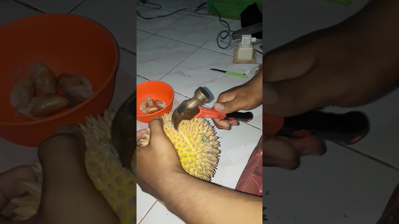  Cara  membela  Durian Sengan Alat Seadanya YouTube