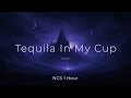 Conni Tequila In My Cup NCS 1 Hour
