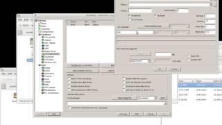 Debian Woody PPC (APUS) on Amiga A4000 (WinUAE) Blizzard PPC Part 1 - Prepare