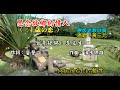 思念故鄉的情人~附KTV歌詞~黃三元演唱~作詞:藍虹~原版老歌欣賞