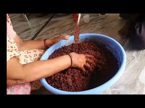 वीडियो: सौंफ बनाने का तरीका