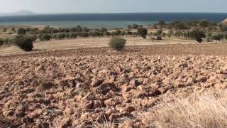 Beşik Tepe - views at the foot