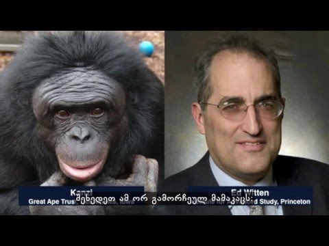 რა მოხდება როცა კომპიუტერები ჩვენზე ჭკვიანები გახდებიან? -   ნიკ ბოსტრომი