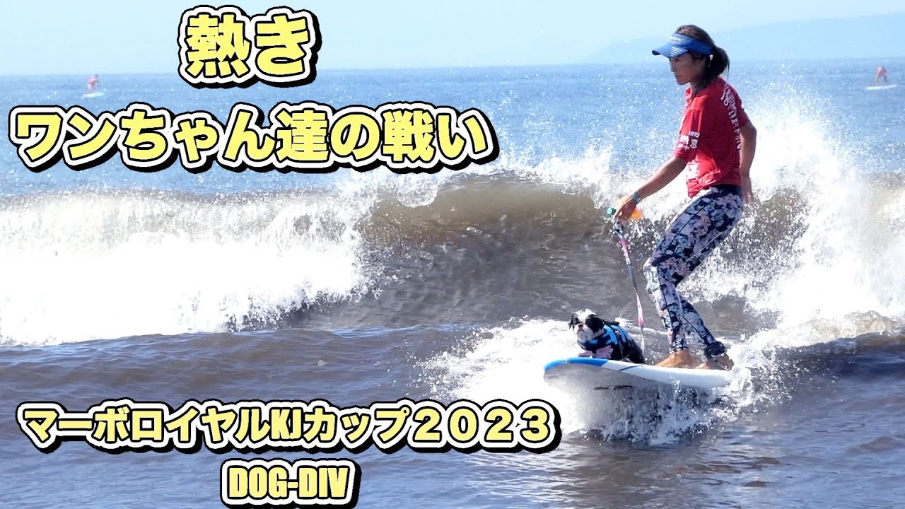 値下げ】初中級者向け サーフボード ロング マーボロイヤル