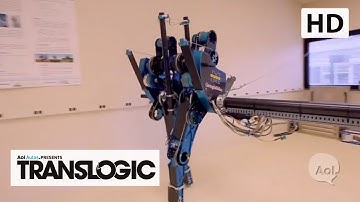 MABEL Bi-Pedal Walking Robot | TRANSLOGIC 98 | AOL Autos