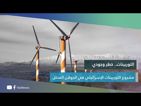 فيديو: هل ستأكل الترابينات الفئران؟