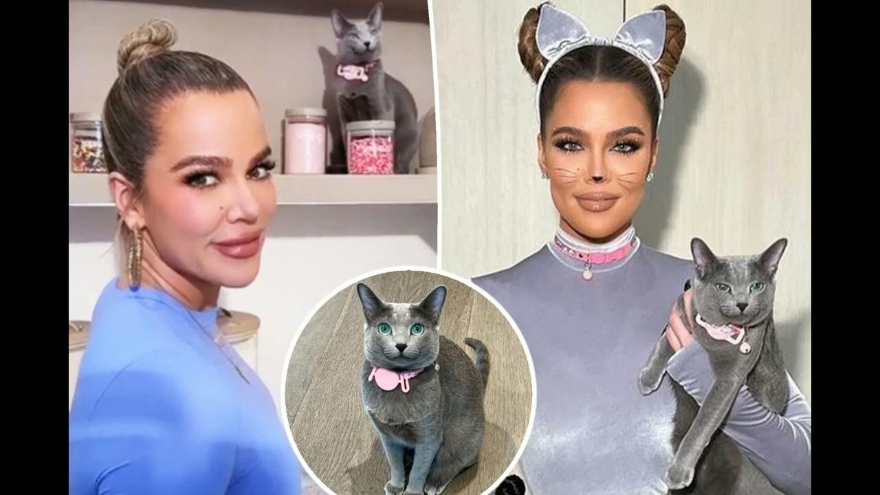 Кардашьян 2023. Кендалл мет гала. Met gala 2023 кардашян. Кардашьян 2023. Мет гала кардашьян дженнер.