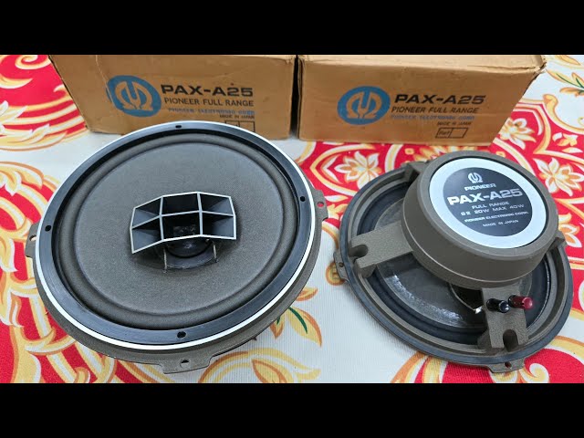 ト静】③PIONEER/パイオニア PAX-A25 マルチセルラーホン