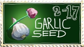 Growing Garlic from Seed. Is it Possible?