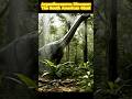 Discover the AMAZING GIANT Argentinosaurus! #aianimations #wildlife